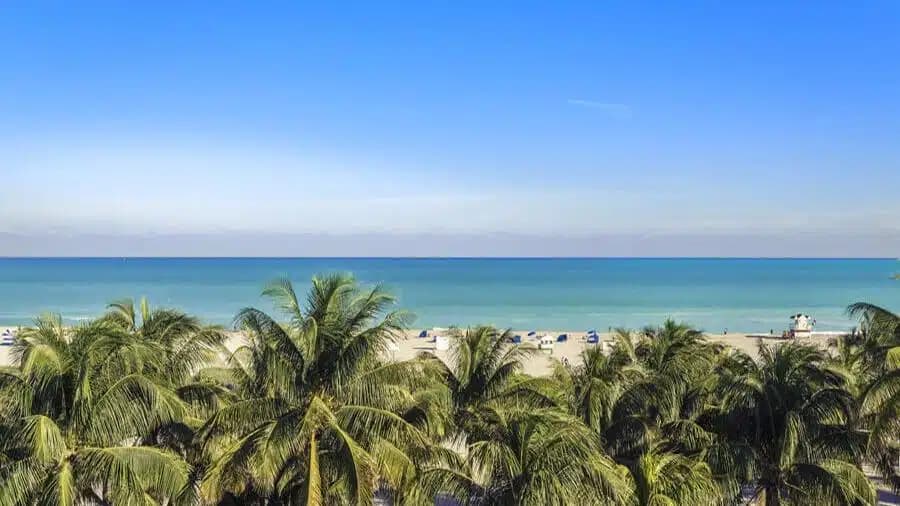 Beaches Recovery Services - Preview