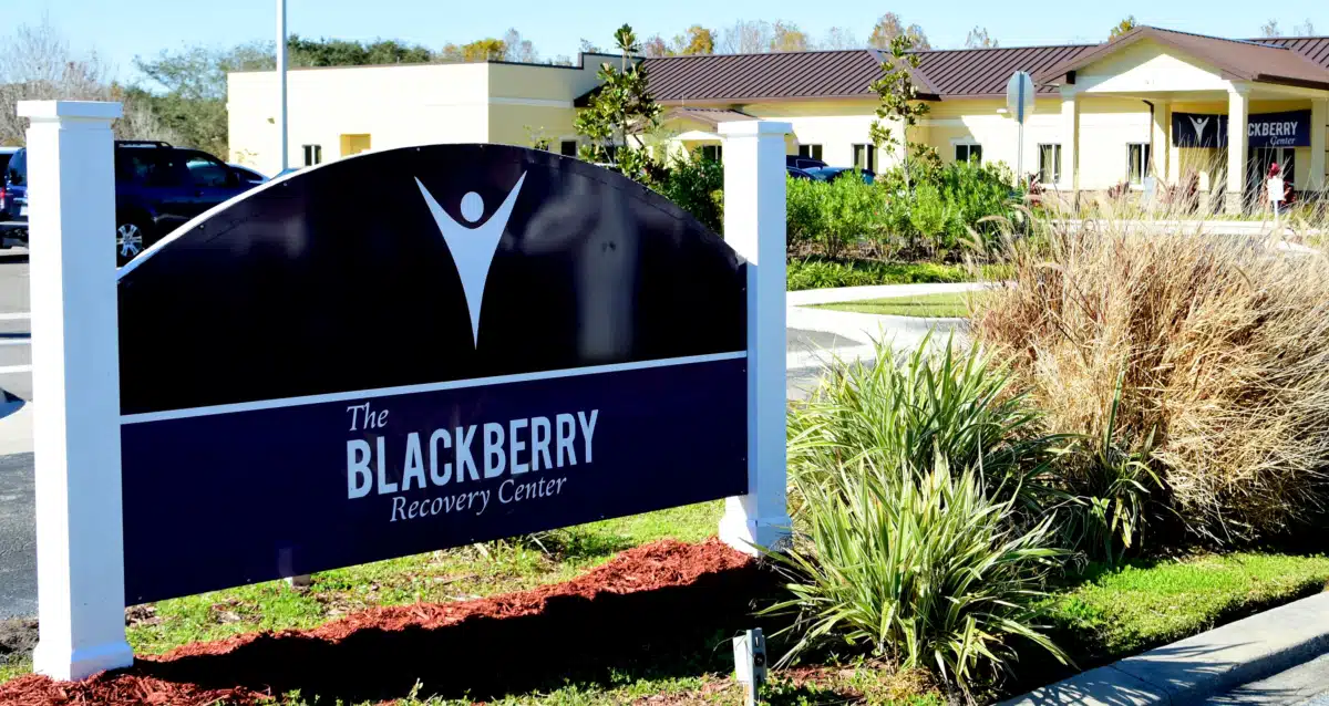 Blackberry Center - Thumbnail 9