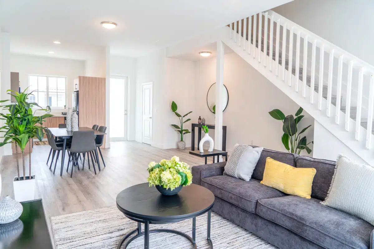 Clear Shores Inc - Thumbnail 2