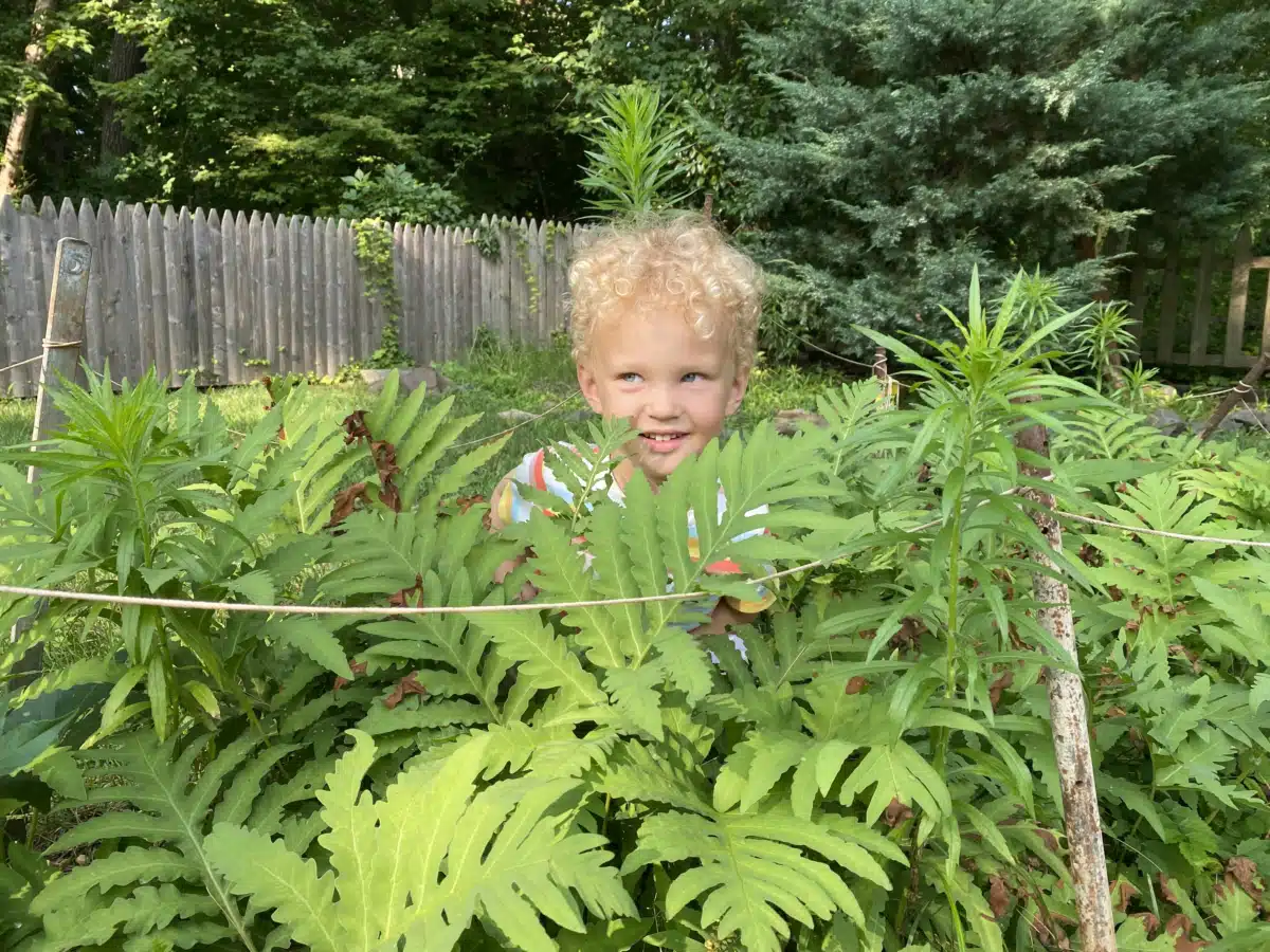 CuraSouth - Thumbnail 9