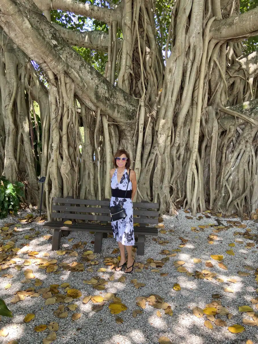 David Lawrence Center - Thumbnail 7