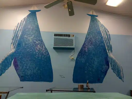 Frankies Place Csl and Prev Services - Thumbnail 3