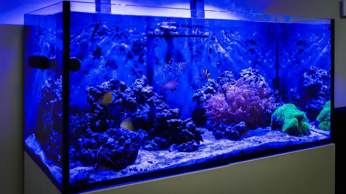 Ignite Recovery Center LLC - Thumbnail 7