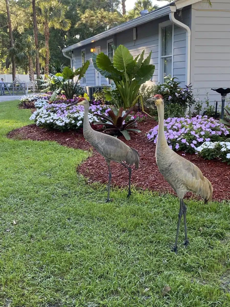 Retreat Behavioral Health Service Ctr - Thumbnail 7