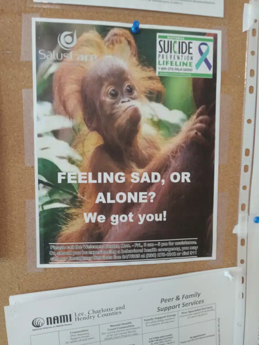 SalusCare - Thumbnail 7