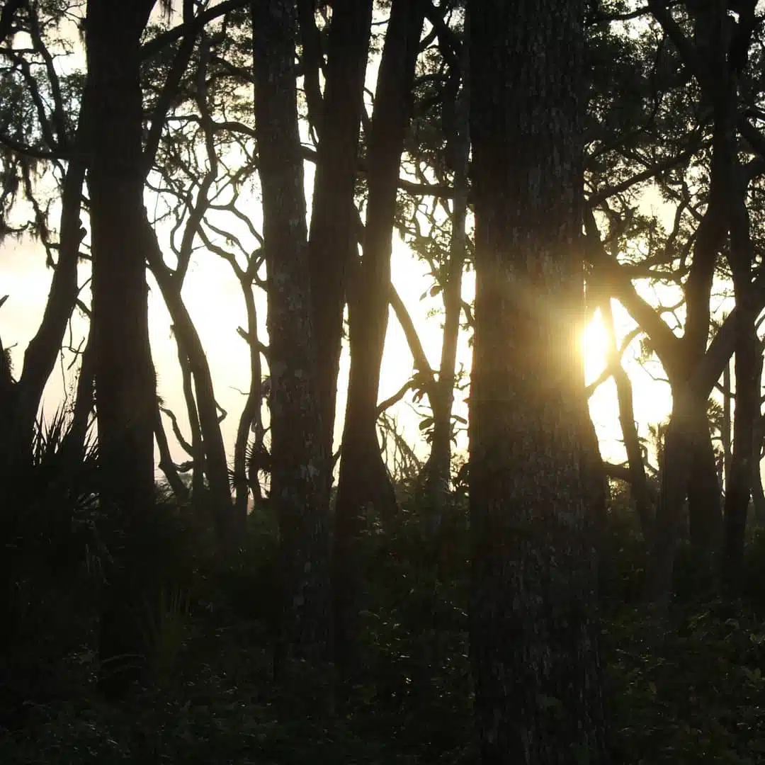 Starting Point Behavioral Healthcare - Thumbnail 2