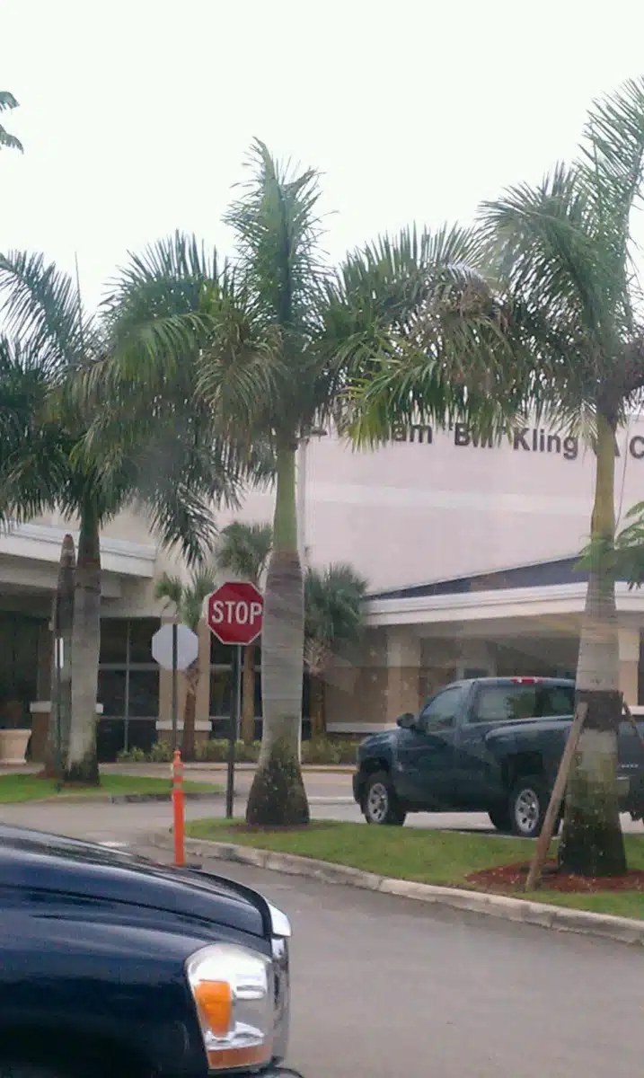 William Bill Kling - Thumbnail 3